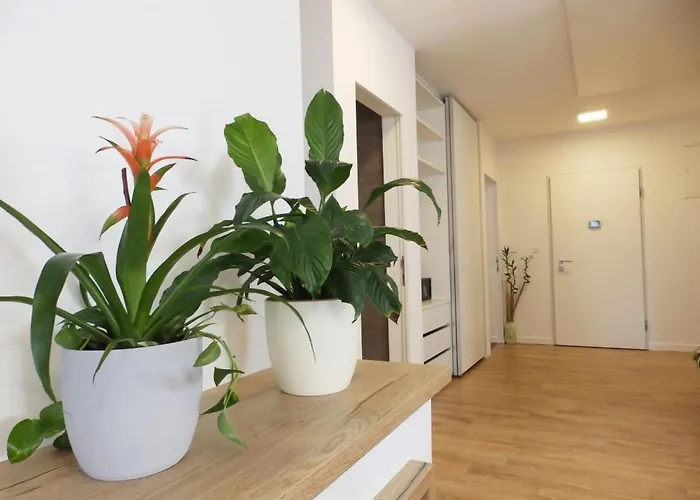 Bokan By Interhome Пула